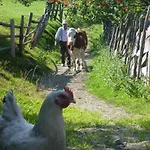 Biohof Maurachgut Farmház *