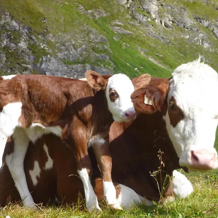 Farmház Biohof Maurachgut Bad Hofgastein