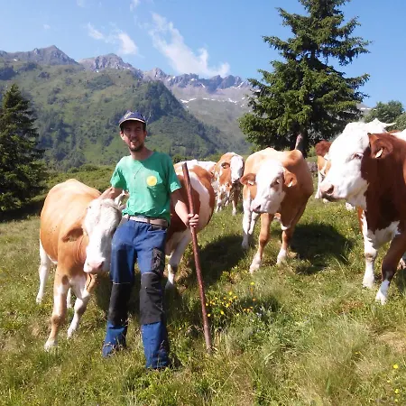 Biohof Maurachgut Farmház *
