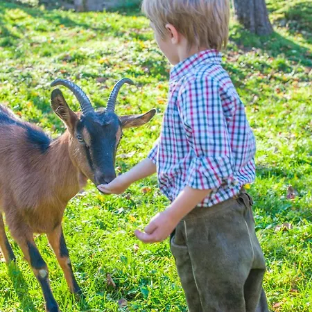 Farma Biohof Maurachgut