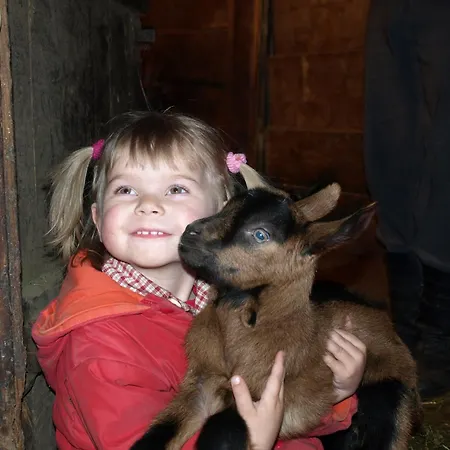 Farm stay Biohof Maurachgut *