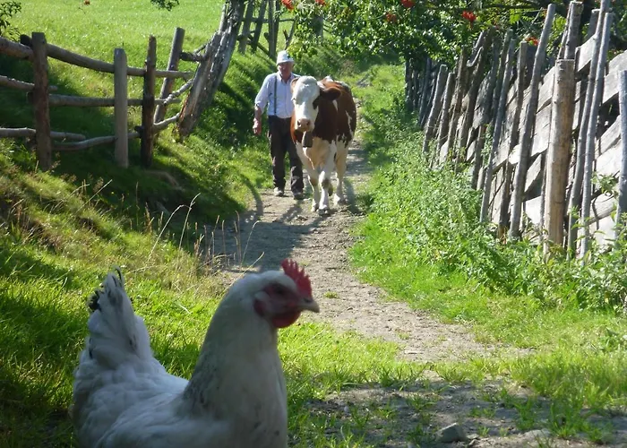 Biohof Maurachgut Gospodarstwo agroturystyczne *