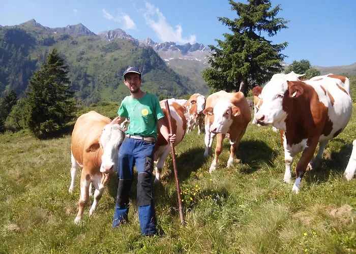Biohof Maurachgut Farmház *