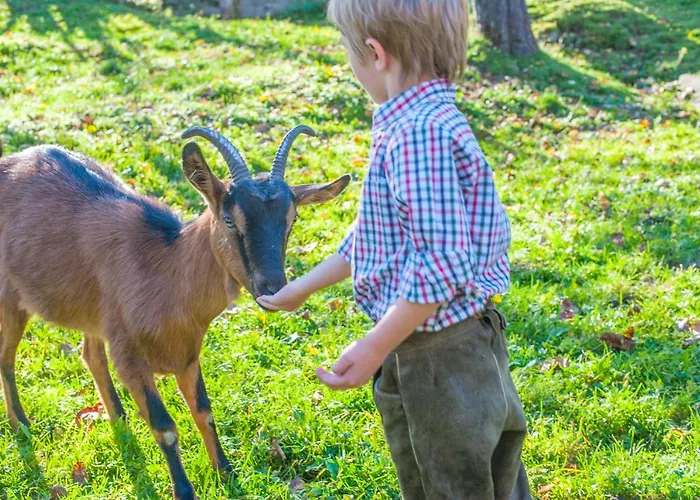 Farmház Biohof Maurachgut