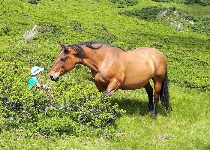 Agroturismo Biohof Maurachgut *