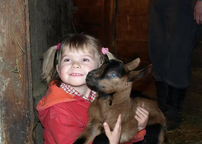 Farmház Biohof Maurachgut *